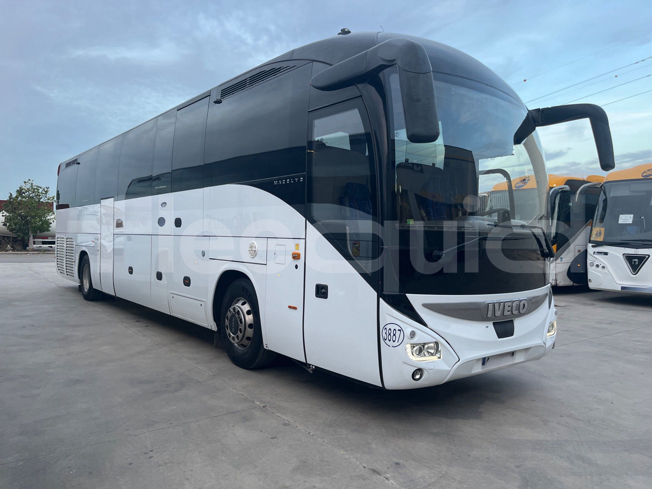 Iveco Magelys - Pullman: foto 1 Iveco Magelys - Pullman: foto 1