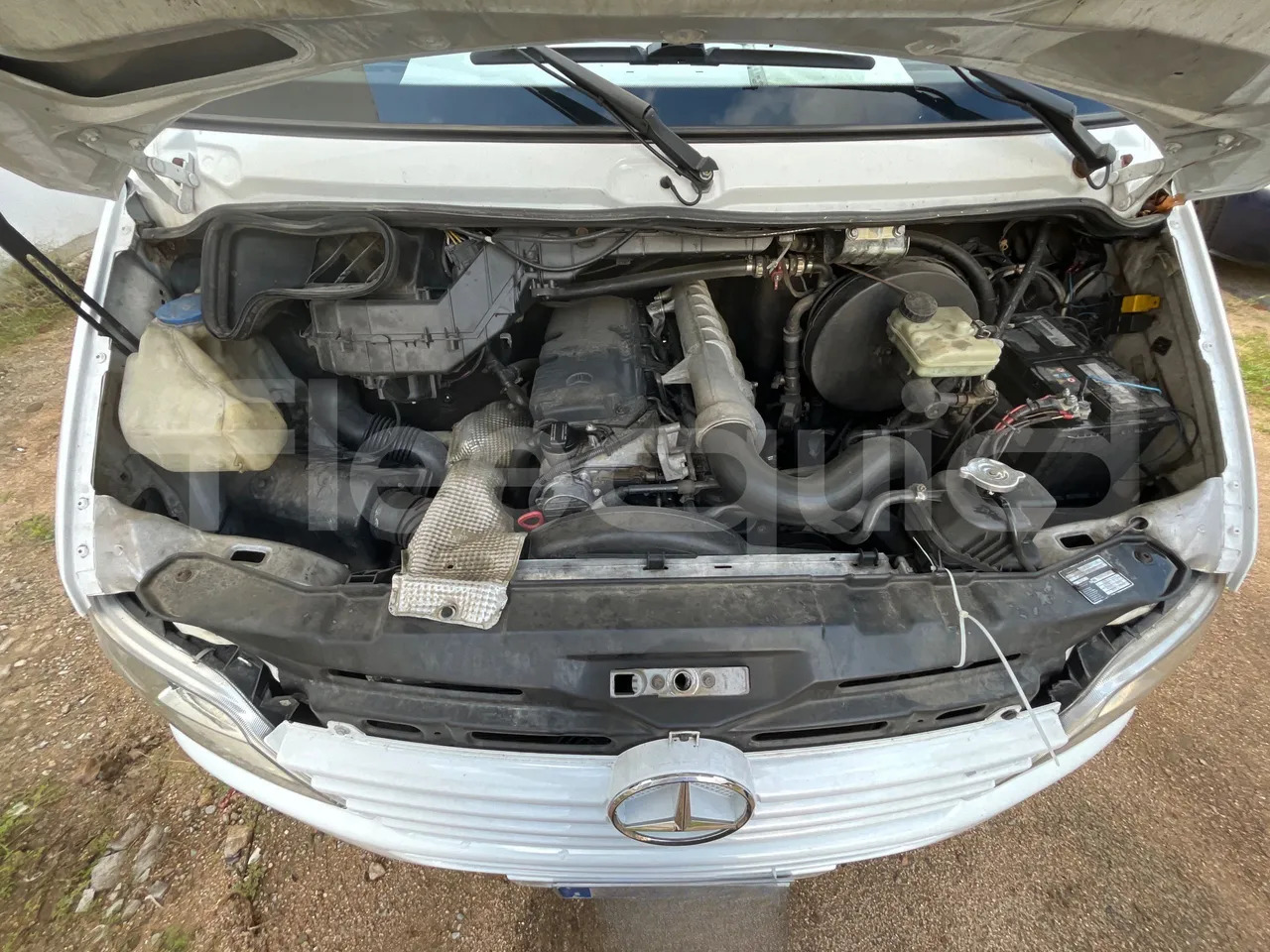 Leasing di  Mercedes-Benz Sprinter Mercedes-Benz Sprinter: foto 16