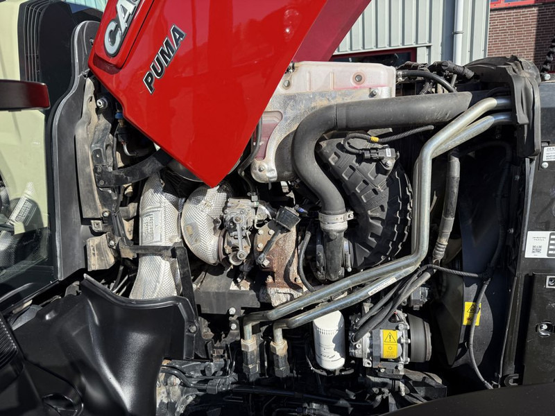 Trattore Case IH Puma 240 CVX AFS Connect Stage V: foto 7