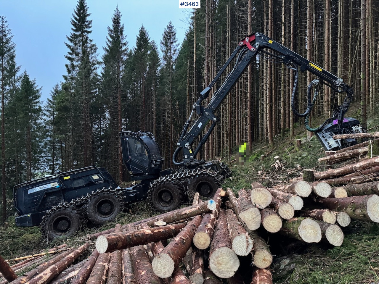 2022 Logset 12H GTE - Abbattitrice forestale: foto 4 2022 Logset 12H GTE - Abbattitrice forestale: foto 4