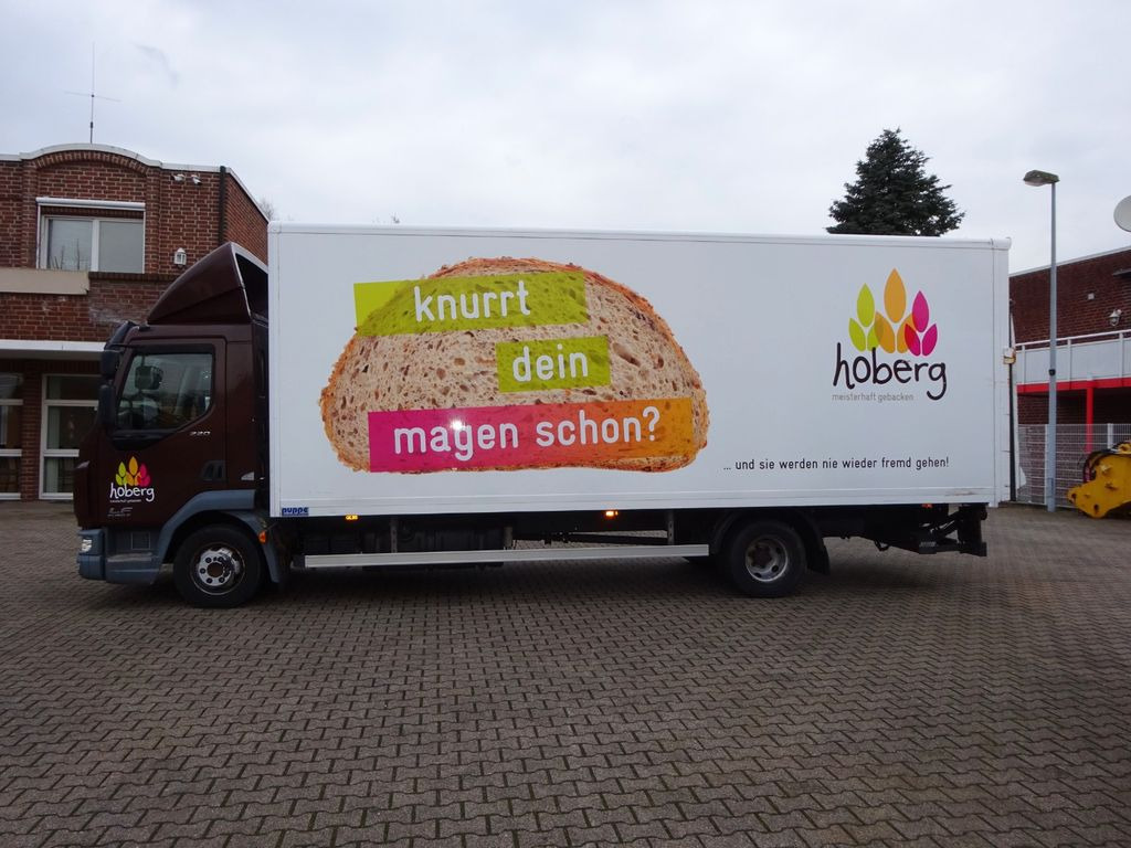 DAF LF 220 Koffer mit Palfinger LBW 4x2 DAF LF 220 Koffer mit Palfinger LBW 4x2 - Furgone box: foto 3 DAF LF 220 Koffer mit Palfinger LBW 4x2 DAF LF 220 Koffer mit Palfinger LBW 4x2 - Furgone box: foto 3