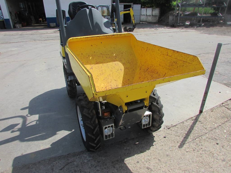 WACKER NEUSON 1001 Minidumper 18.000 netto Hochkippmulde - Dumper: foto 2 WACKER NEUSON 1001 Minidumper 18.000 netto Hochkippmulde - Dumper: foto 2