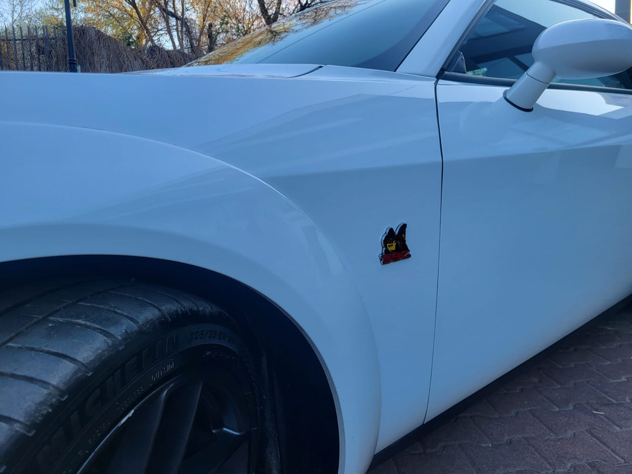 Coupé Dodge Challenger: foto 30