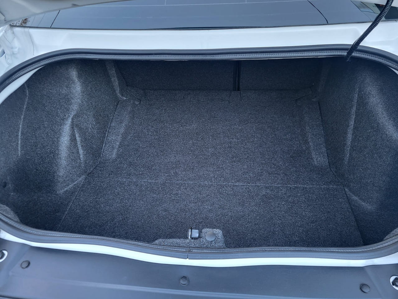 Coupé Dodge Challenger: foto 17