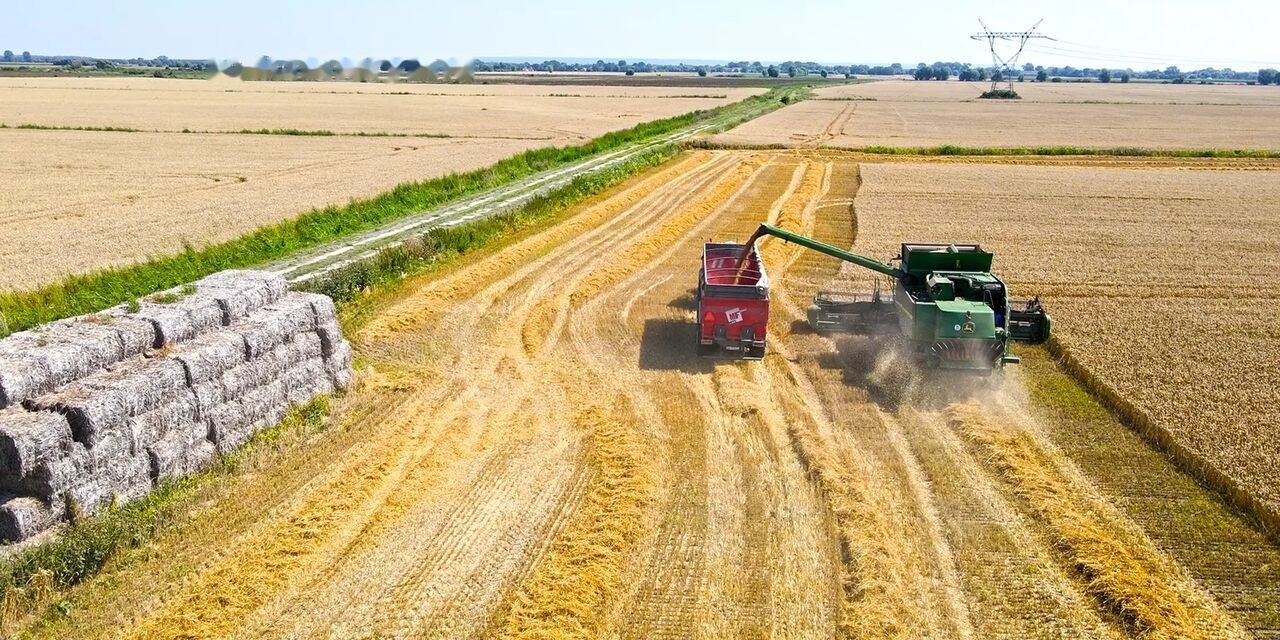 Rimorchio agricolo nuovo Metal-Fach Przyczepa skorupowa tandem T935/1 – 18t: foto 6