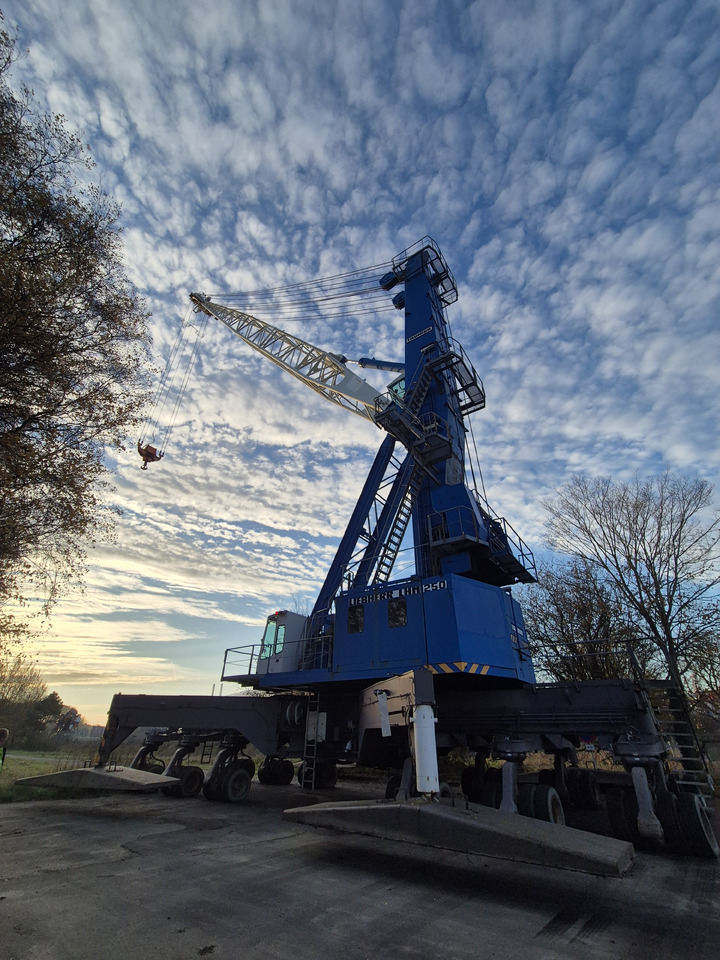 Liebherr LHM250 - Attrezzatura portuale: foto 1 Liebherr LHM250 - Attrezzatura portuale: foto 1