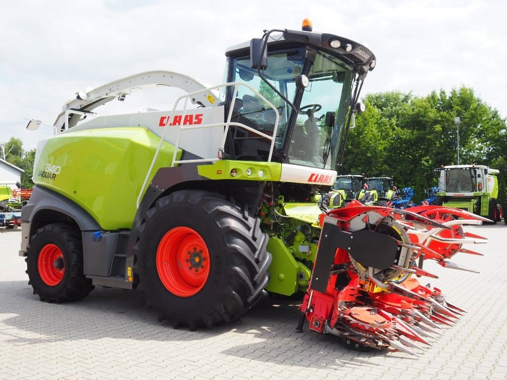 Claas Jaguar 840 + Kemper 345 Plus - Trincia: foto 4 Claas Jaguar 840 + Kemper 345 Plus - Trincia: foto 4