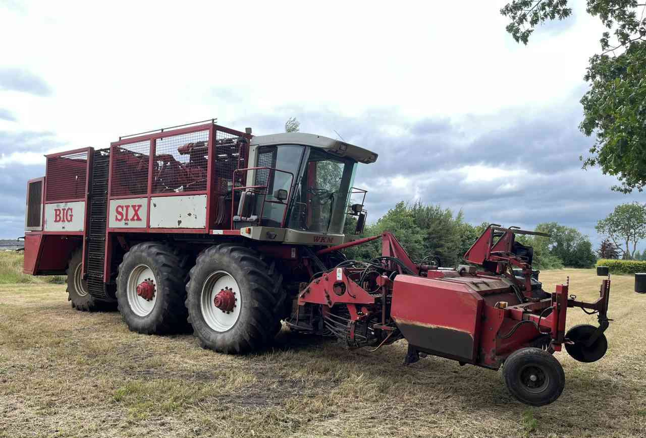 WKM Agrifac WKM BIG SIX Bietenrooier, rooimachines, oogstmachines. - Scavabietole: foto 2 WKM Agrifac WKM BIG SIX Bietenrooier, rooimachines, oogstmachines. - Scavabietole: foto 2