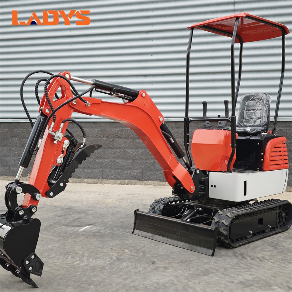 LADYS DY12Pro Mini Excavator Euro 5/Epa Engine Kubota Mini Excavator For Sale - Miniescavatore: foto 2 LADYS DY12Pro Mini Excavator Euro 5/Epa Engine Kubota Mini Excavator For Sale - Miniescavatore: foto 2