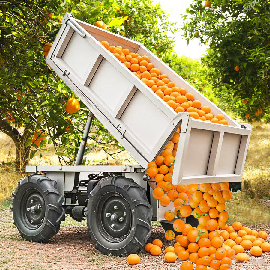 LEZUM Electric Remote Control Transporter Agricultural Orchard Farm Electric Utv Material Handling Equipment All Terrain Transport Vehicle - Quad: foto 4 LEZUM Electric Remote Control Transporter Agricultural Orchard Farm Electric Utv Material Handling Equipment All Terrain Transport Vehicle - Quad: foto 4