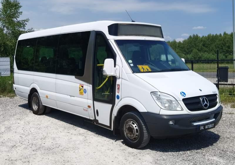 Autobus extraurbano Mercedes-Benz Sprinter *klima*webasto*: foto 1