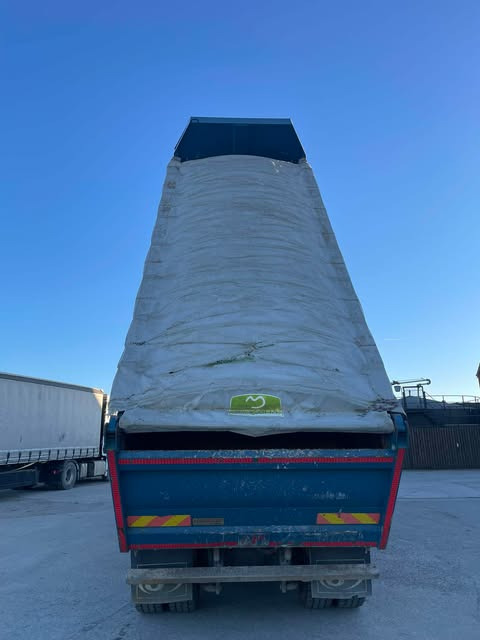 Autocarro ribaltabile, Camion con gru nuovo MERCEDES-BENZ actros: foto 6