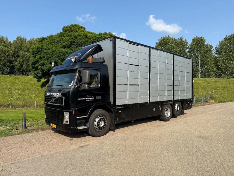Volvo FM 300 Livestock Cuppers 3 laags 6x2 - Autocarro trasporto bestiame: foto 3 Volvo FM 300 Livestock Cuppers 3 laags 6x2 - Autocarro trasporto bestiame: foto 3