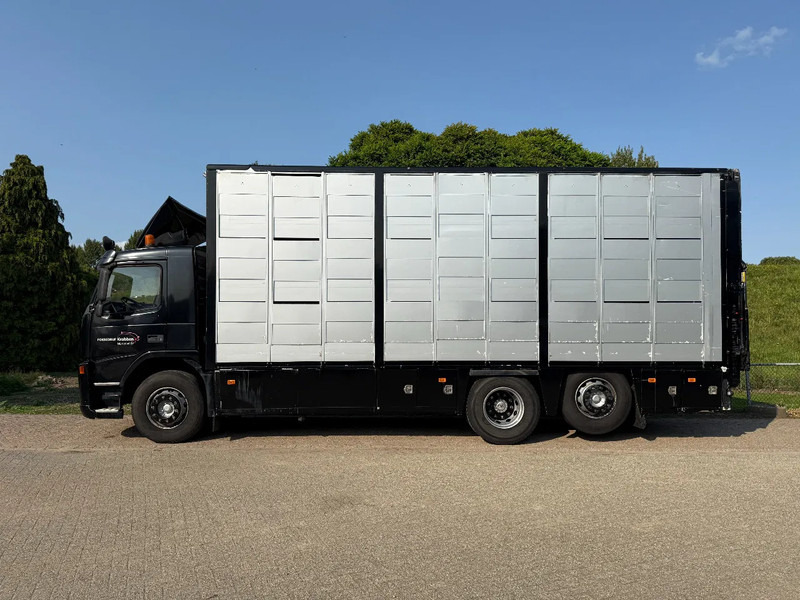 Volvo FM 300 Livestock Cuppers 3 laags 6x2 - Autocarro trasporto bestiame: foto 4 Volvo FM 300 Livestock Cuppers 3 laags 6x2 - Autocarro trasporto bestiame: foto 4