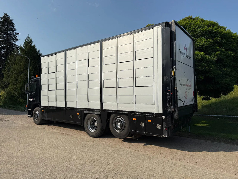 Volvo FM 300 Livestock Cuppers 3 laags 6x2 - Autocarro trasporto bestiame: foto 5 Volvo FM 300 Livestock Cuppers 3 laags 6x2 - Autocarro trasporto bestiame: foto 5