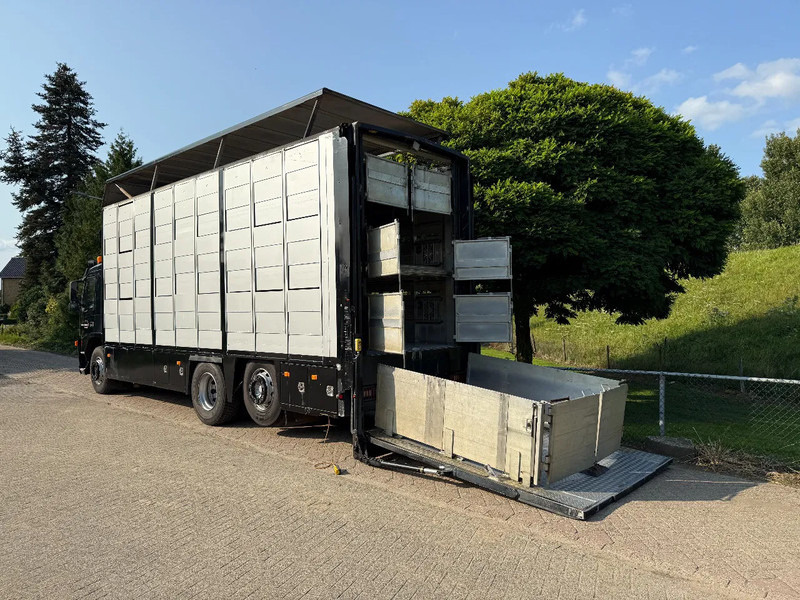 Volvo FM 300 Livestock Cuppers 3 laags 6x2 - Autocarro trasporto bestiame: foto 2 Volvo FM 300 Livestock Cuppers 3 laags 6x2 - Autocarro trasporto bestiame: foto 2