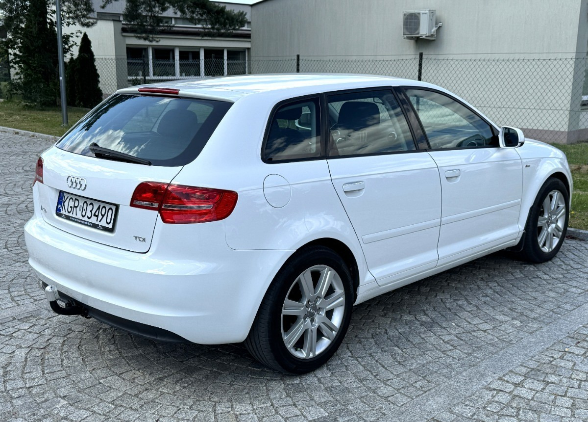 Audi A3 1.6 TDI 105KM Bezwypadkowy potwierdzony przebieg AUTO BARDZO ZADBANE - Autovettura: foto 3 Audi A3 1.6 TDI 105KM Bezwypadkowy potwierdzony przebieg AUTO BARDZO ZADBANE - Autovettura: foto 3
