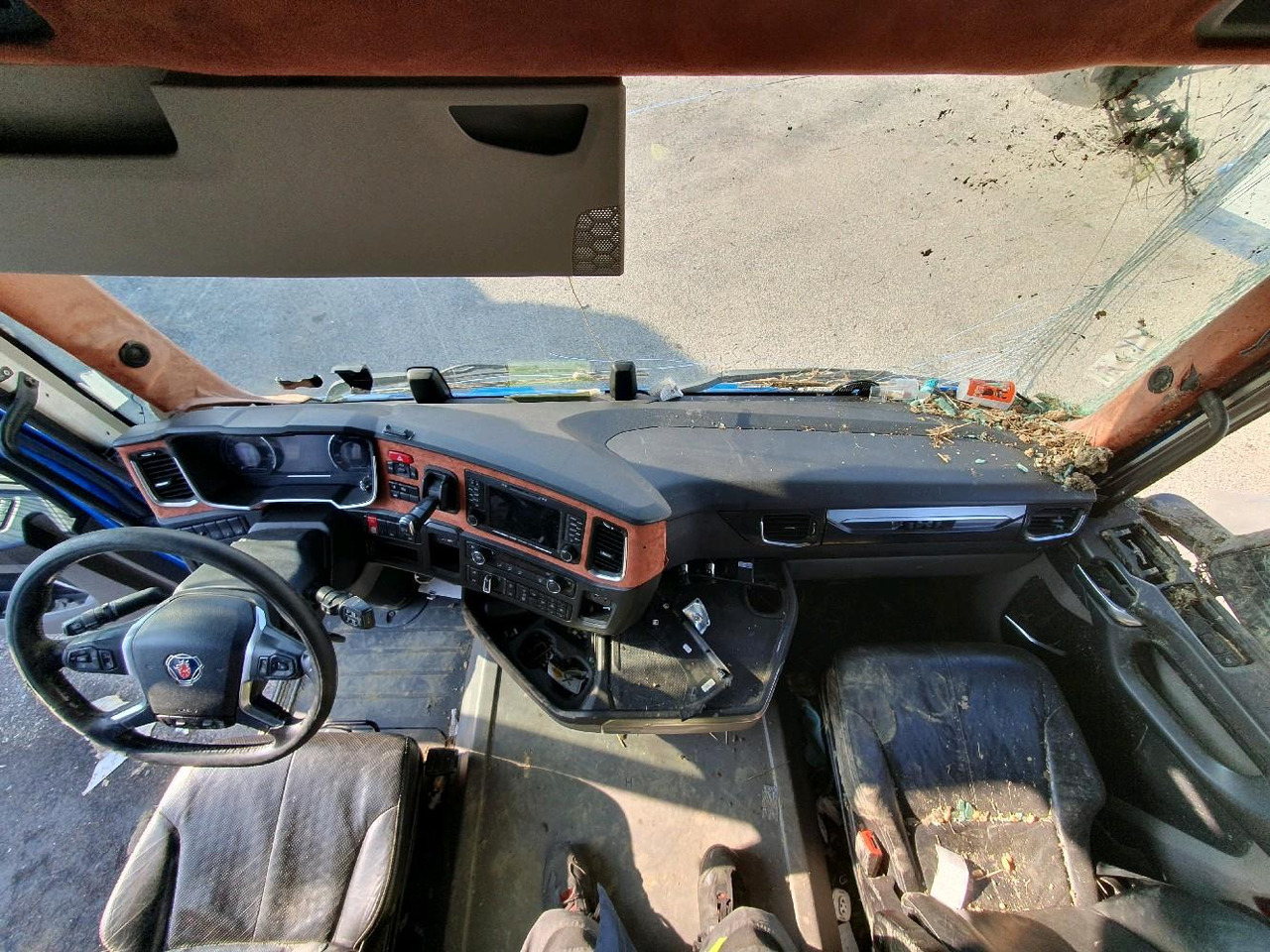 Autocarro trasporto bestiame SCANIA R580: foto 13