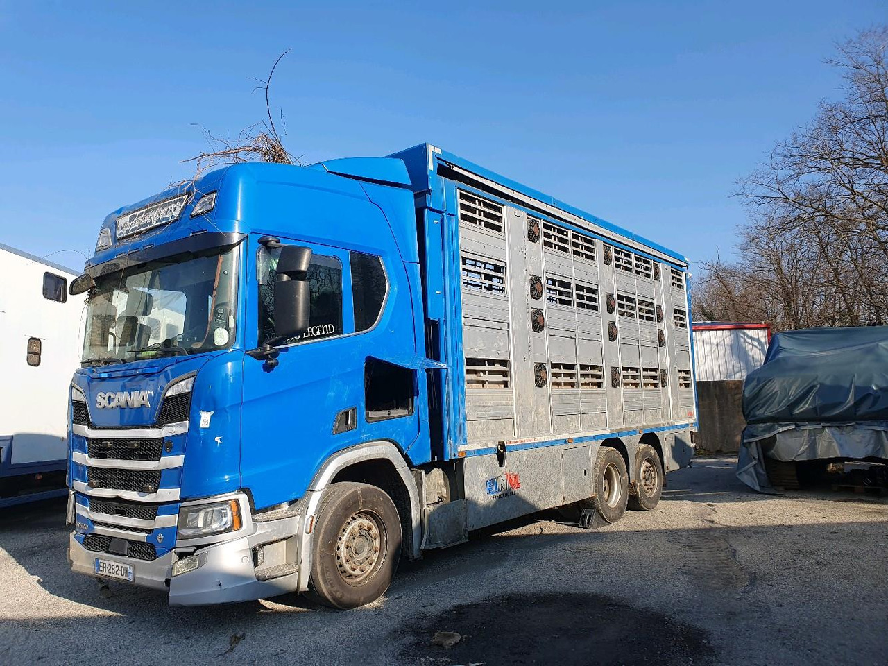 Autocarro trasporto bestiame SCANIA R580: foto 9