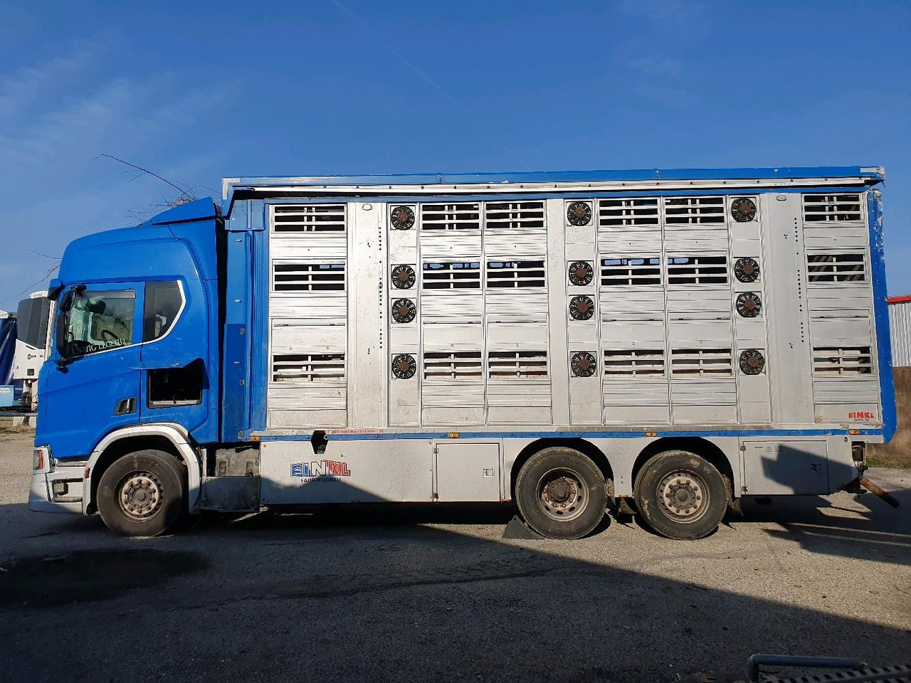 Autocarro trasporto bestiame SCANIA R580: foto 8