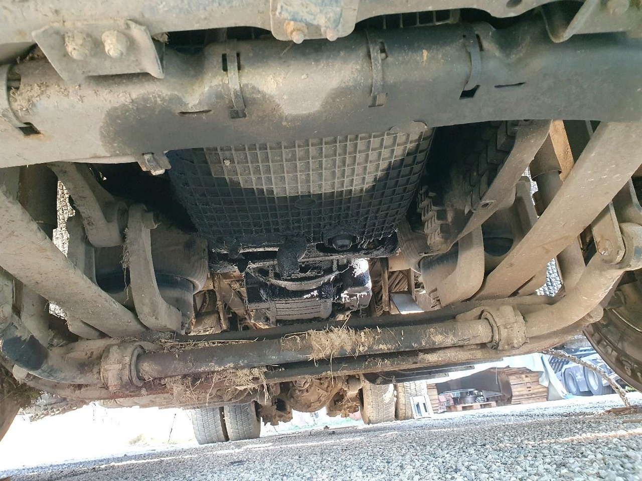 Autocarro trasporto bestiame SCANIA R580: foto 20