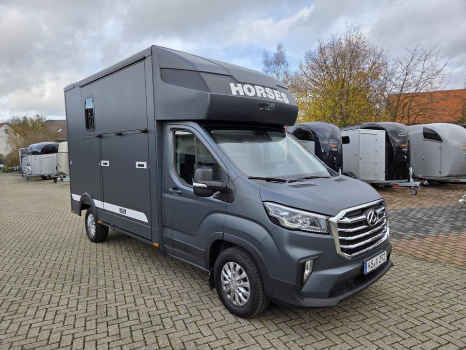 MSG Stablehopper Pferdetransporter Pferdeanhänger Böckmann - Van trasporto cavalli: foto 5 MSG Stablehopper Pferdetransporter Pferdeanhänger Böckmann - Van trasporto cavalli: foto 5