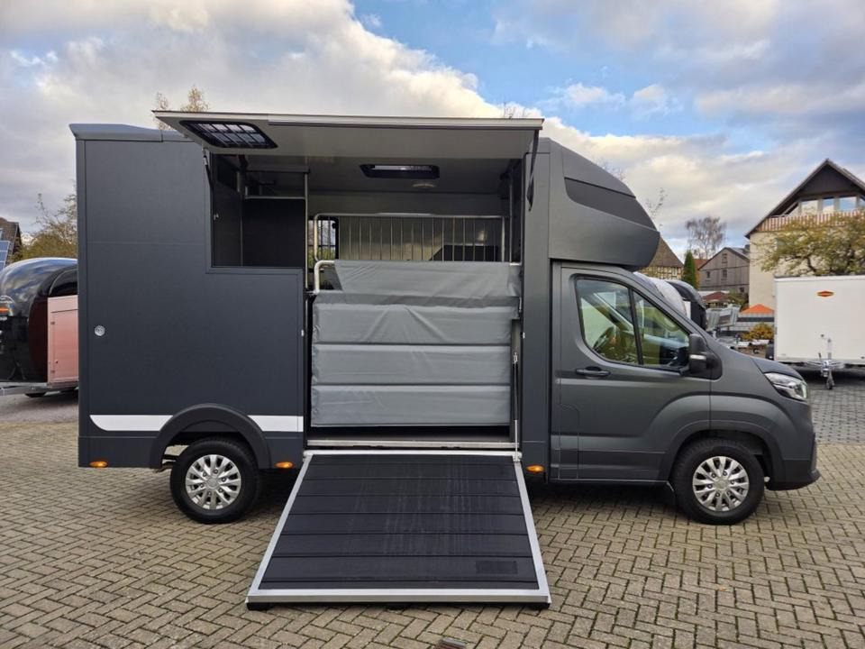 MSG Stablehopper Pferdetransporter Pferdeanhänger Böckmann - Van trasporto cavalli: foto 5 MSG Stablehopper Pferdetransporter Pferdeanhänger Böckmann - Van trasporto cavalli: foto 5