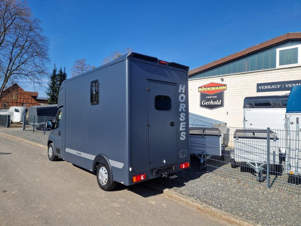 MSG Stablehopper Pferdetransporter Pferdeanhänger Böckmann - Van trasporto cavalli: foto 4 MSG Stablehopper Pferdetransporter Pferdeanhänger Böckmann - Van trasporto cavalli: foto 4