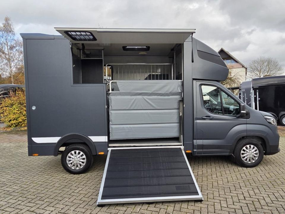 MSG Stablehopper Pferdetransporter Pferdeanhänger Böckmann - Van trasporto cavalli: foto 3 MSG Stablehopper Pferdetransporter Pferdeanhänger Böckmann - Van trasporto cavalli: foto 3