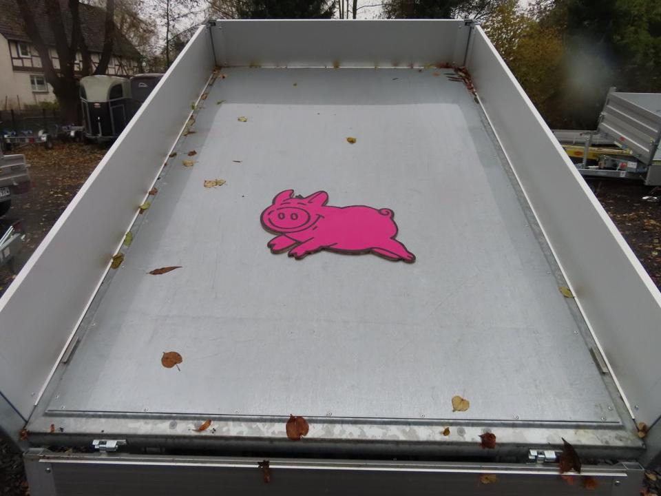Rimorchio ribaltabile Schweinepreis, Böckmann PKW-Anhänger, Rückwärtskipper, 2,7 to.: foto 16