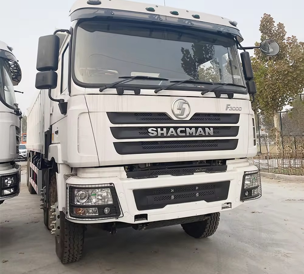 SHACMAN F3000 - Autocarro ribaltabile: foto 2 SHACMAN F3000 - Autocarro ribaltabile: foto 2