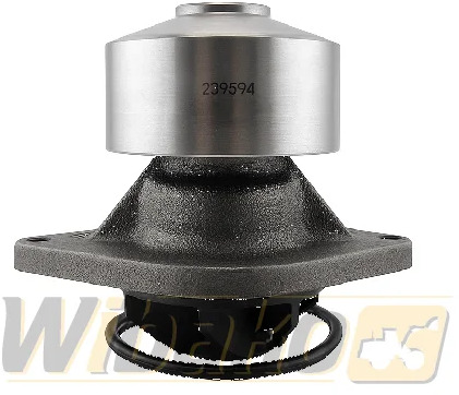 Dolz L216 / 77-66609 - Pompa acqua: foto 1 Dolz L216 / 77-66609 - Pompa acqua: foto 1