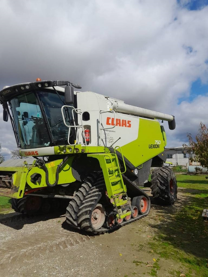 Claas LEXION 750 RISO - Mietitrebbia: foto 2 Claas LEXION 750 RISO - Mietitrebbia: foto 2