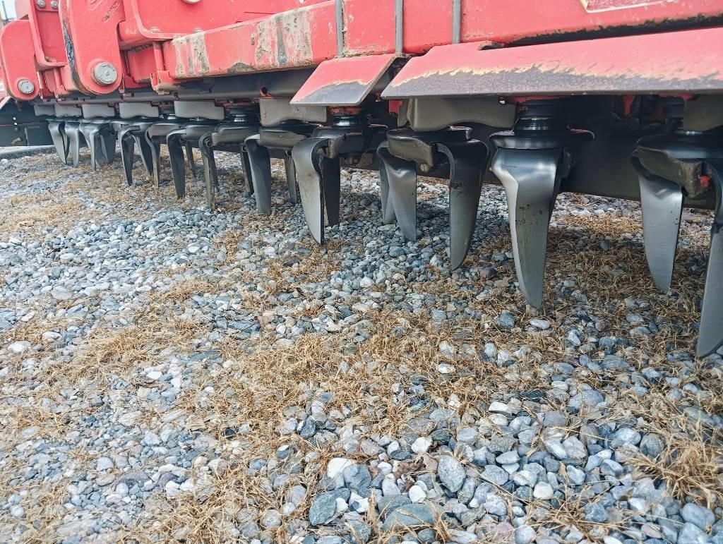 Maschio DMR 4000 - Erpice: foto 2 Maschio DMR 4000 - Erpice: foto 2