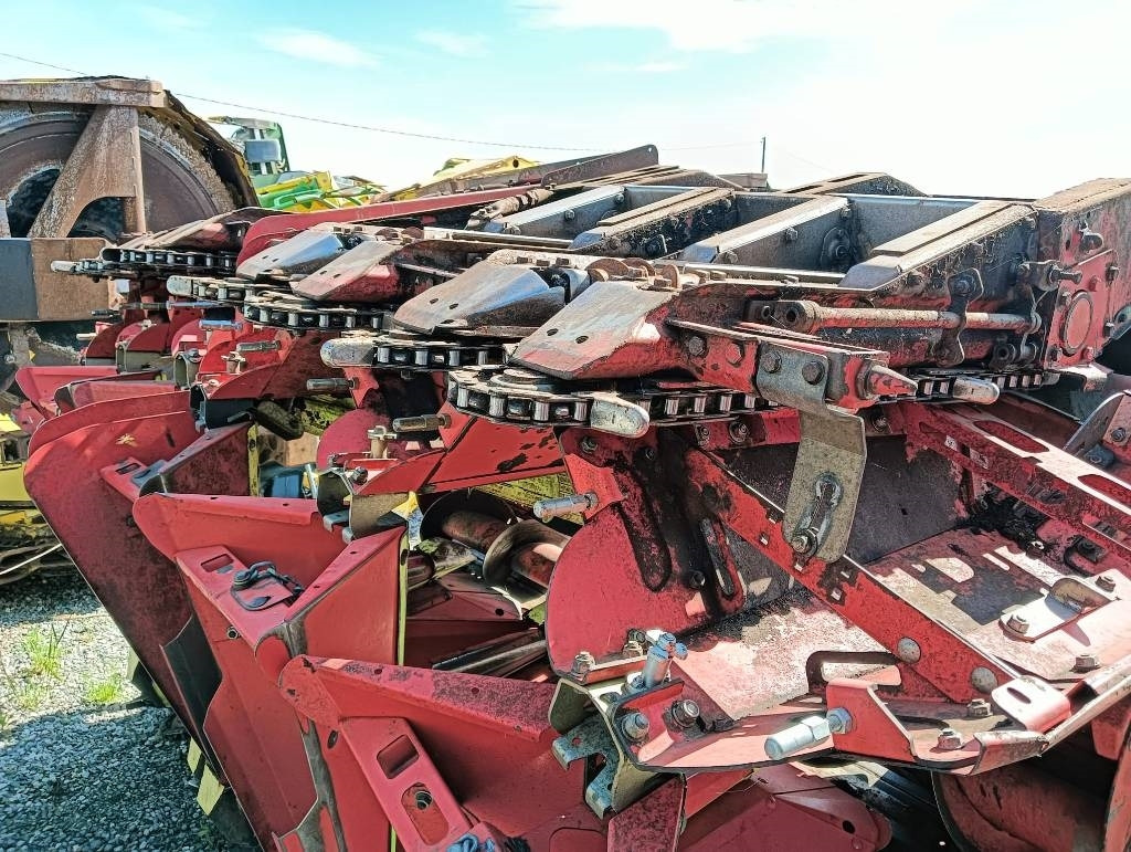 Olimac DRAGO 8 FILE - Accessori per macchine da raccolta: foto 2 Olimac DRAGO 8 FILE - Accessori per macchine da raccolta: foto 2