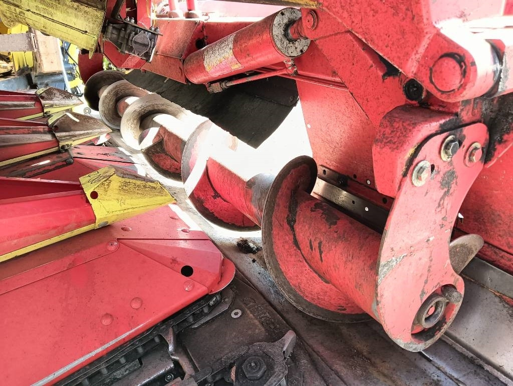 Olimac DRAGO 8 FILE - Accessori per macchine da raccolta: foto 3 Olimac DRAGO 8 FILE - Accessori per macchine da raccolta: foto 3