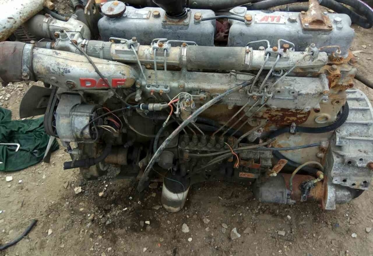 DAF ATI WS259 E2 DAF - Motore per Camion: foto 1 DAF ATI WS259 E2 DAF - Motore per Camion: foto 1