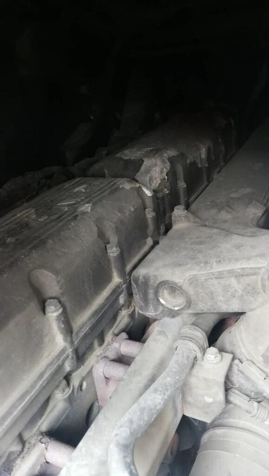 DAF XE315C 430 E3 DAF XF 95 - Motore per Camion: foto 1 DAF XE315C 430 E3 DAF XF 95 - Motore per Camion: foto 1
