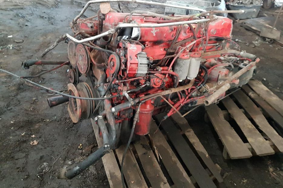 MAN D0226 MKF/170 Van Hool T8-Series - Motore per Camion: foto 4 MAN D0226 MKF/170 Van Hool T8-Series - Motore per Camion: foto 4