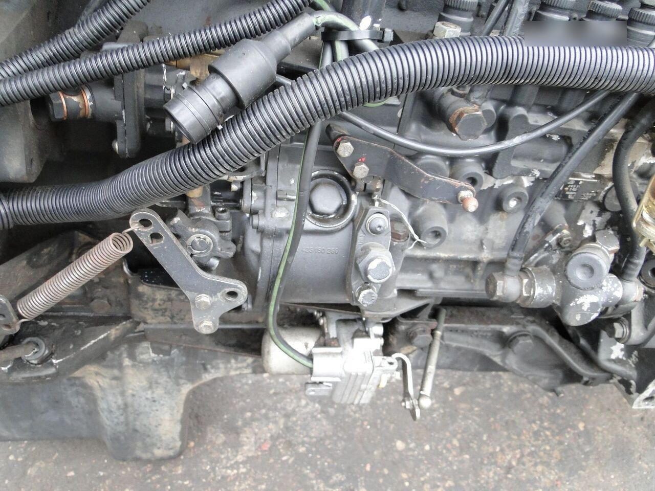MAN D2865 LF05 MAN F90, F2000 - Motore per Camion: foto 4 MAN D2865 LF05 MAN F90, F2000 - Motore per Camion: foto 4