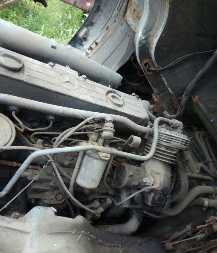 Mercedes-Benz OM366 170 E2 Mercedes-Benz - Motore per Camion: foto 1 Mercedes-Benz OM366 170 E2 Mercedes-Benz - Motore per Camion: foto 1