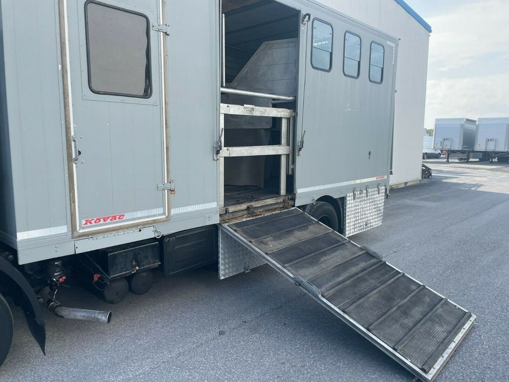 Van trasporto cavalli MAN 12.192 Pferdetransporter: foto 13