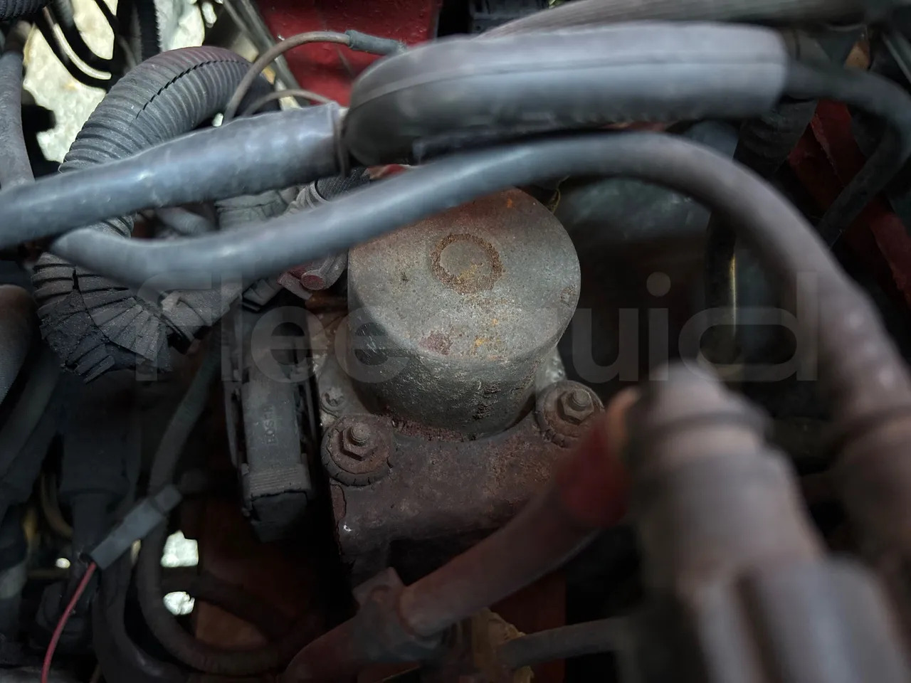 Autobus extraurbano Iveco Daily: foto 17 Autobus extraurbano Iveco Daily: foto 17