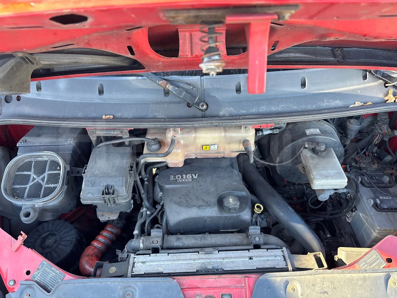 Autobus extraurbano Iveco Daily: foto 15 Autobus extraurbano Iveco Daily: foto 15