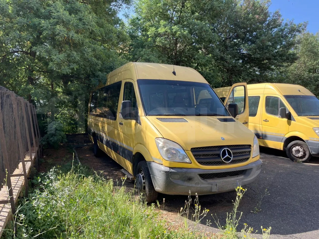 Mercedes-Benz Sprinter - Scuolabus: foto 1 Mercedes-Benz Sprinter - Scuolabus: foto 1