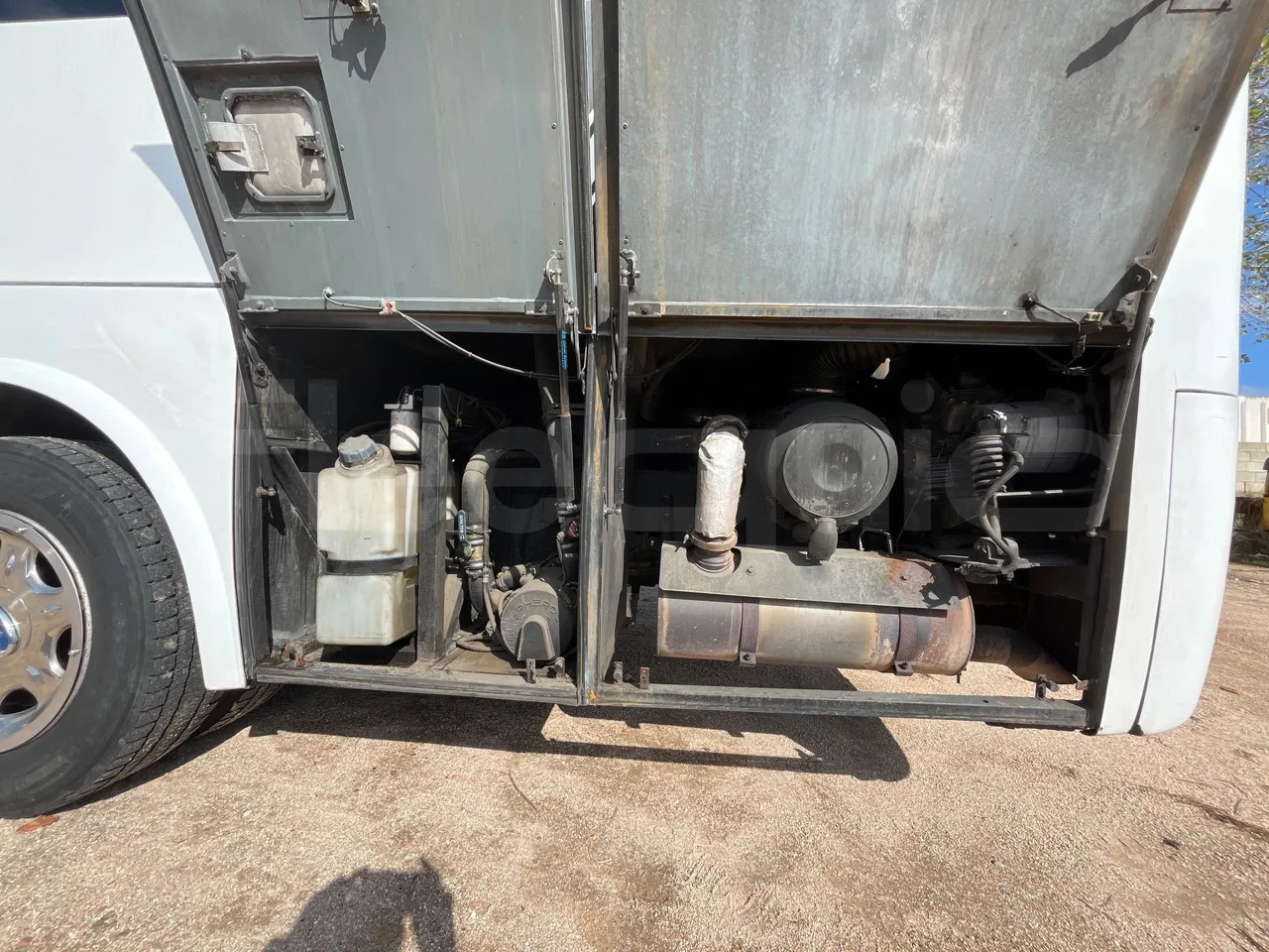 Autobus extraurbano Mercedes-Benz Sprinter: foto 18 Autobus extraurbano Mercedes-Benz Sprinter: foto 18