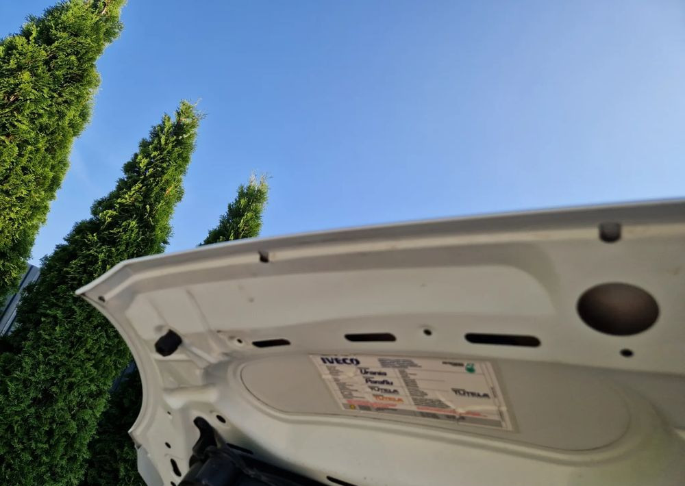 Furgone ribaltabile Iveco 35C15 3.0: foto 18