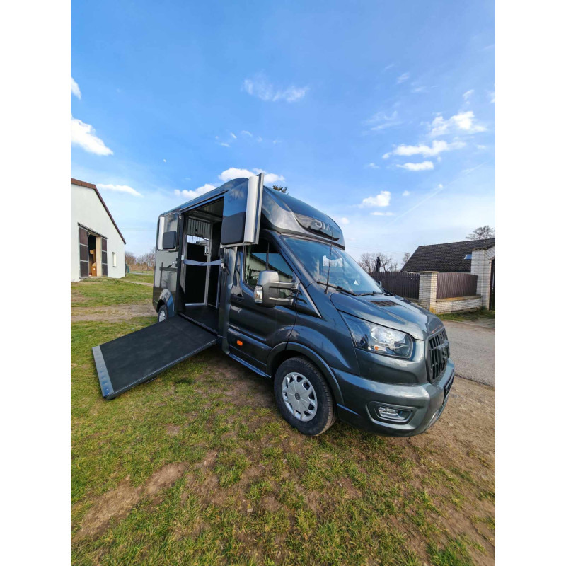 Leasing di STX Ford Transit by Stephex STX Ford Transit by Stephex: foto 25