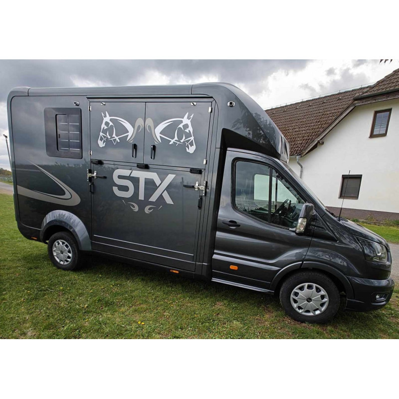 Leasing di STX Ford Transit by Stephex STX Ford Transit by Stephex: foto 18