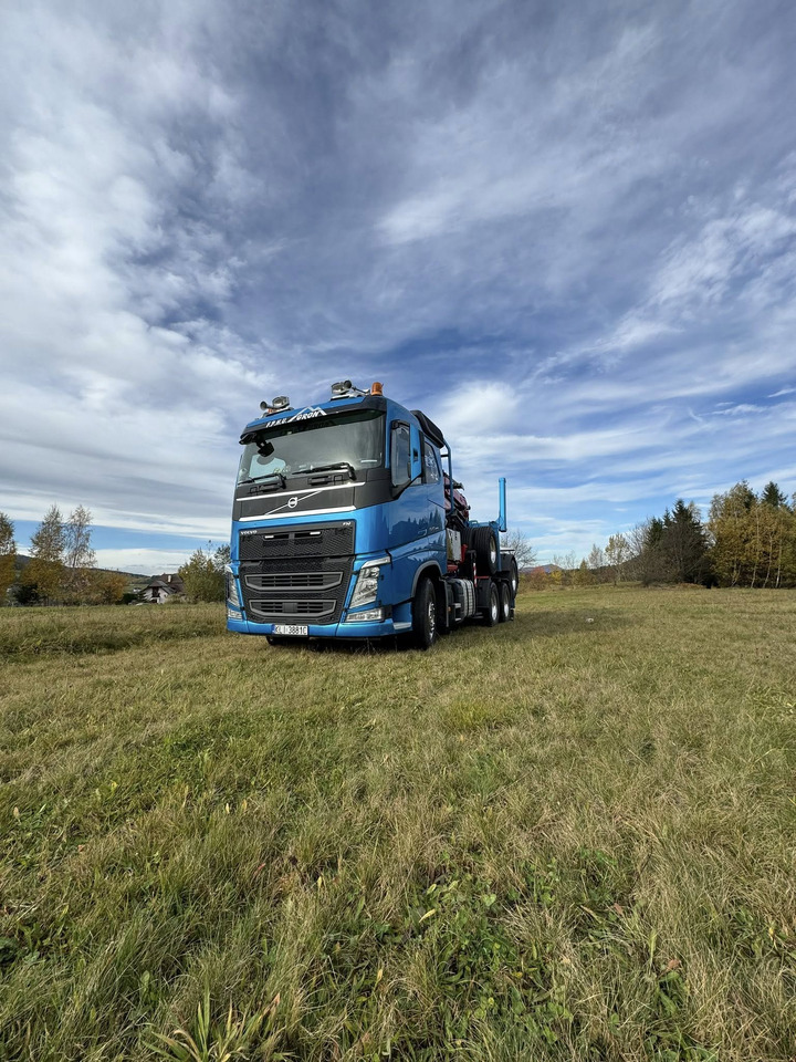 Camion trasporto legname, Camion con gru VOLVO FH540: foto 14